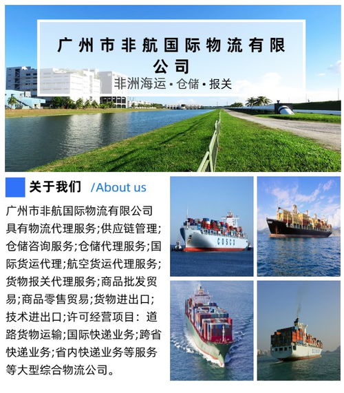 廣州至坦桑尼亞專線費(fèi)用解析及數(shù)據(jù)處理服務(wù)